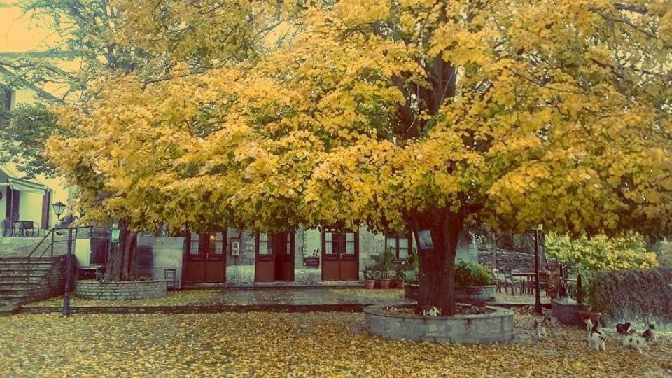 Villa Armonia Neochori  Екстериор снимка